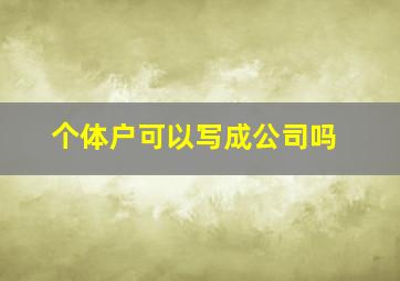 个体户可以写成公司吗