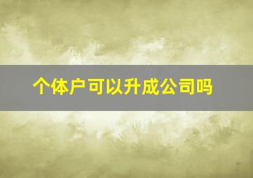 个体户可以升成公司吗