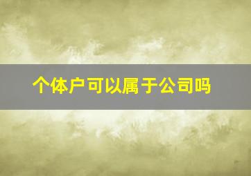 个体户可以属于公司吗