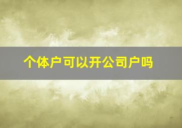 个体户可以开公司户吗