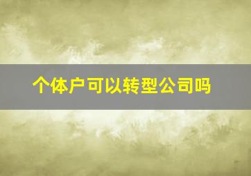 个体户可以转型公司吗