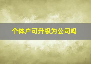 个体户可升级为公司吗