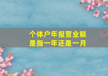 个体户年报营业额是指一年还是一月