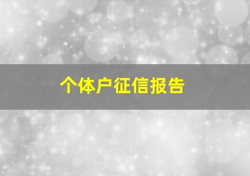 个体户征信报告