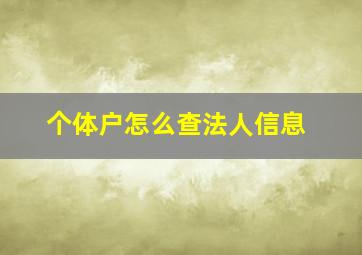 个体户怎么查法人信息