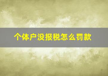 个体户没报税怎么罚款