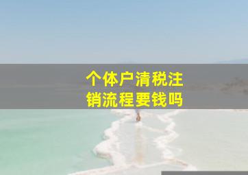 个体户清税注销流程要钱吗