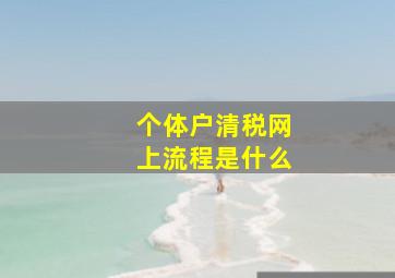 个体户清税网上流程是什么