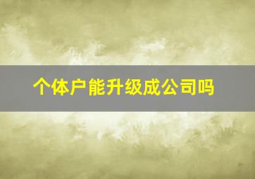 个体户能升级成公司吗