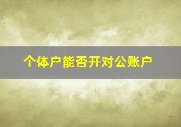 个体户能否开对公账户