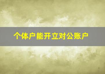 个体户能开立对公账户