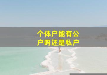 个体户能有公户吗还是私户