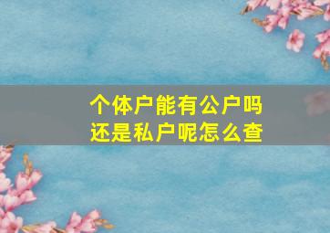 个体户能有公户吗还是私户呢怎么查