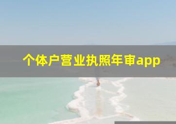 个体户营业执照年审app