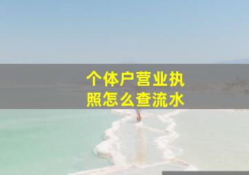 个体户营业执照怎么查流水