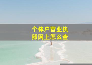 个体户营业执照网上怎么查