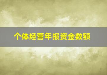 个体经营年报资金数额