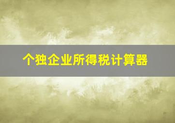 个独企业所得税计算器