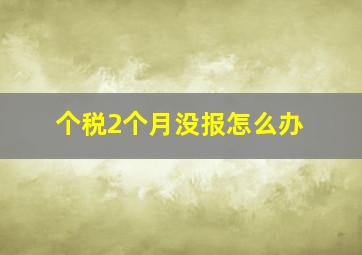 个税2个月没报怎么办