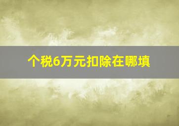 个税6万元扣除在哪填