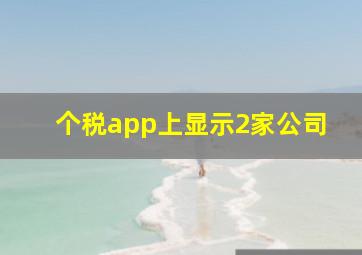 个税app上显示2家公司