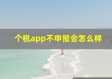 个税app不申报会怎么样