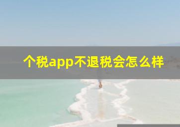 个税app不退税会怎么样