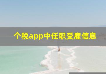 个税app中任职受雇信息