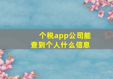 个税app公司能查到个人什么信息