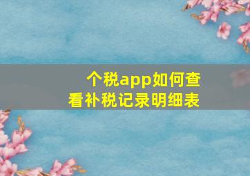 个税app如何查看补税记录明细表