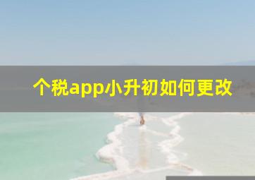 个税app小升初如何更改