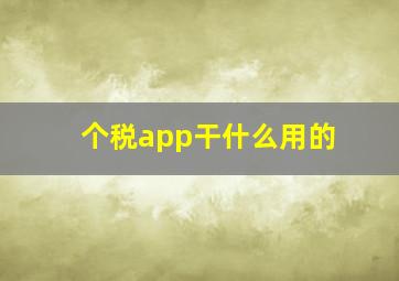 个税app干什么用的