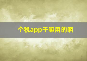 个税app干嘛用的啊