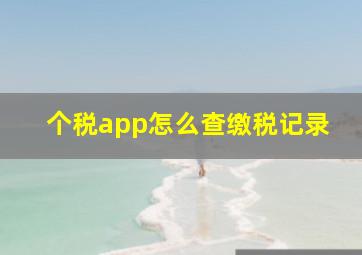 个税app怎么查缴税记录