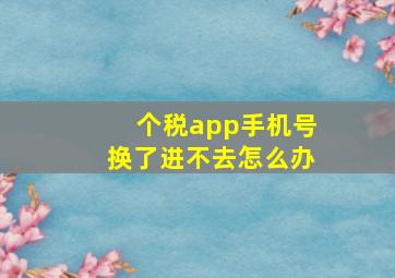 个税app手机号换了进不去怎么办