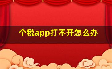 个税app打不开怎么办