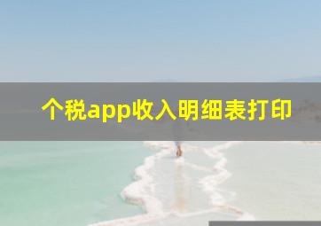 个税app收入明细表打印