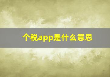 个税app是什么意思