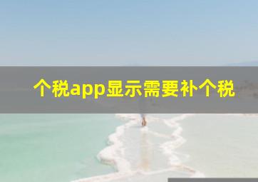 个税app显示需要补个税