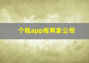 个税app有两家公司