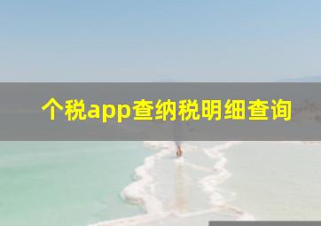 个税app查纳税明细查询