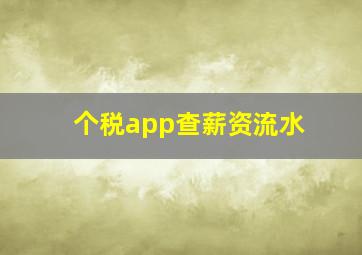 个税app查薪资流水