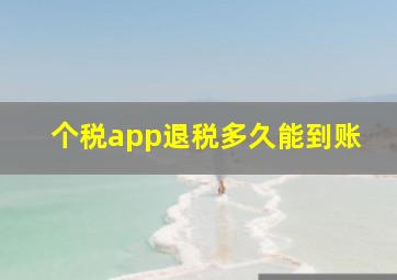 个税app退税多久能到账