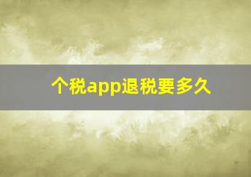 个税app退税要多久