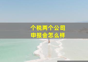 个税两个公司申报会怎么样