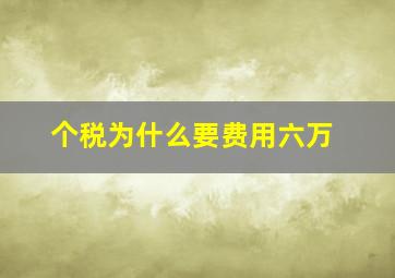 个税为什么要费用六万