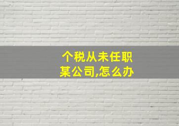 个税从未任职某公司,怎么办