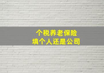 个税养老保险填个人还是公司