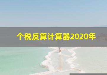 个税反算计算器2020年