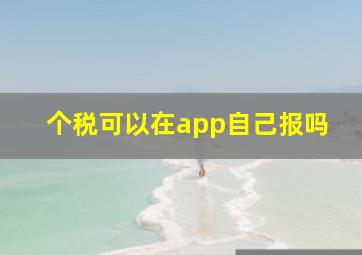 个税可以在app自己报吗